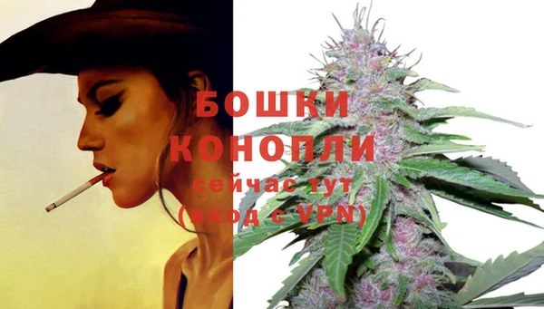 марки lsd Абаза